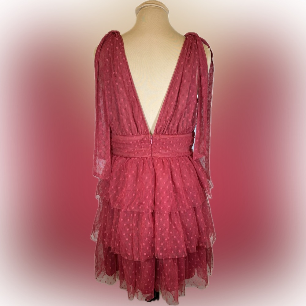 Flying Tomato Tulle Tiered Mini Dress - Picture 3 of 5